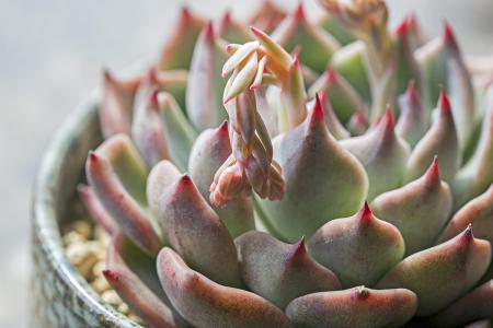 ÀúʷͬÆÚ×îÓÅ!±±¾©½ñÄêÇﶬ³ÖÐøÓÅÁ¼ÌìÊýÒѳ¬40Ìì