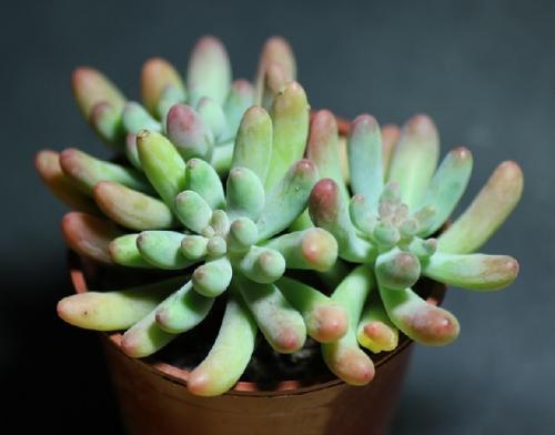 ׼Ƽ+ںϡ12ʿռԴӾ&8594;