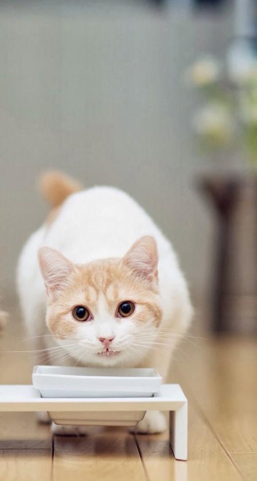 ×î¸ß·¨µÚËÄѲ»Ø·¨Í¥³ÉÁ¢ÒÔÀ´½á°¸1.3ÍòÓà¼þ