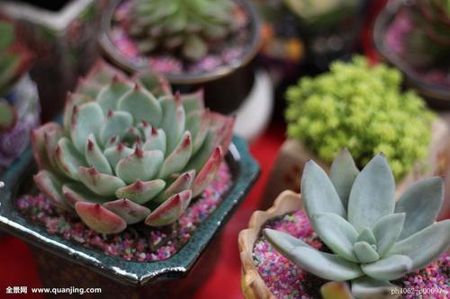 ж! 2020սͼ:48ɽ ¹ű