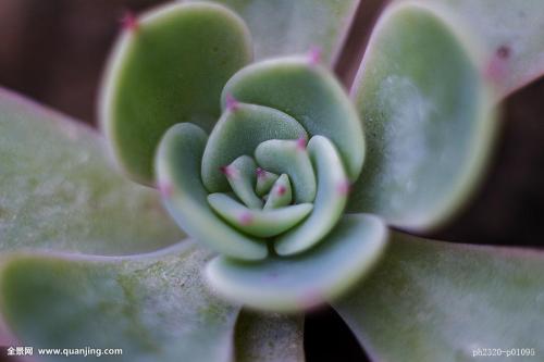 ¿¨Ëþ¶û°£Ã×¶ûÔÙ´ÎÊÕµ½É³ÌعúÍõµÄÑûÇëÐÅ