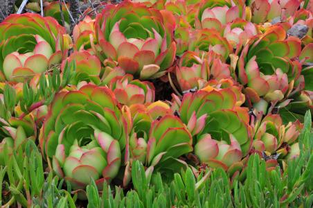 ɽÎ÷´óͬһÆóÒµ·¢ÉúÈËÔ±ÒÉËÆÖж¾Ê¼þÔì³É3ÈËËÀÍö