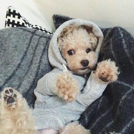 ×îÇ¿º®³±À´Ï®£¬ÃºµçÆøÈ«Á¦±£¹©½øÐÐʱ