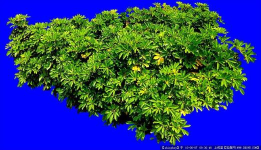 3ÒÚÖйúÈËÓÐ˯ÃßÕϰ,ÖúÃß²úÆ·ÄÜÈÃÈË˯¸öºÃ¾õÂð