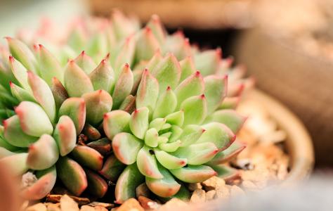 ºÓÄÏÂåÑô³öÍÁ¼ÍÄêÆ÷Îï »ù±¾È·ÈÏĹÖ÷Ϊºº»¸µÛ