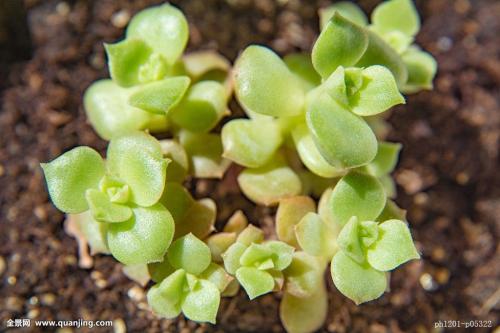 ÍÑÆ¶¹¥¼á|ɽ¶«Ò׵طöƶ°áǨƶÀ§ÈË¿ÚÈ«²¿Îȶ¨ÍÑÆ¶